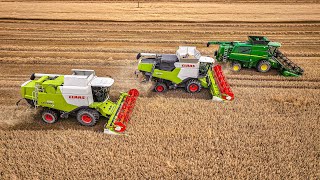 A. Johnson's Claas Lexion 630, John Deere T650i and Demo Claas Trion (4K)