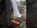 ഈ മീനിന് നിങ്ങളുടെ നാട്ടിലെ പേരെന്ത് fishing fishsellers kerala_fishing fish