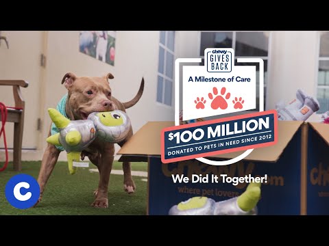 Chewy returns 100 million donated to pet food and supplies