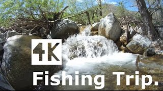 New Trout Fishing Trip with ThiEye T5E 4K