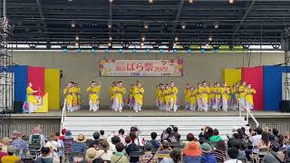 備後ばらバラよさこ踊り隊　バラ祭り2022