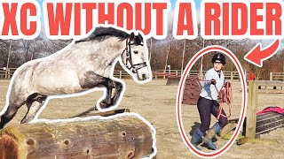 Dora goes cross country *WITHOUT A RIDER* ~ XC lunge jumping