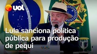 Lula sanciona lei que cria política nacional para produção de pequi: 'Importante para o cerrado'