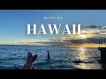 【 hawaii vlog 】14日間のハワイ新婚旅行 ep.1🤍🌺 ハレクラニワイキキ │ 到着日の過ごし方 │ おすすめカフェグルメ🍴 │ ハネムーン │ ハワイアン航空