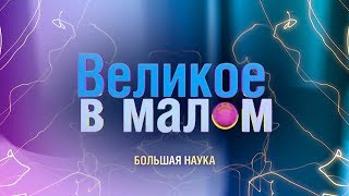 Великое в малом. Наука молодая