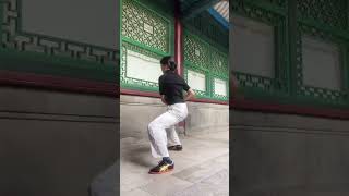 太极之韵身心合一 #taichi #taichiquan #kungfu #wushu #martialarts #taiji #taijiquan #太极 #太極拳 #功夫 #武術 #詠春 #武俠