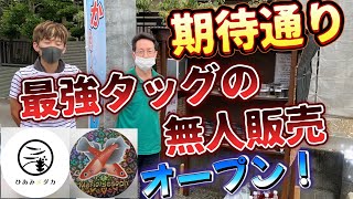 期待通りのメダカ！ひあみメダカさんマリーヨゼフさん最強タッグの無人販売オープン！