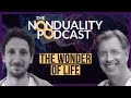 114 - John Astin - In Appreciation of Peter Brown: the Wonder of Life | #Nonduality