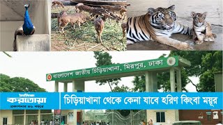 চিড়িয়াখানা থেকে কেনা যাবে হরিণ কিংবা ময়ূর - দৈনিক করতোয়া