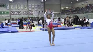 Alana - Floor - (L10) - 2019 Provincial Championships (April 5, 2019)