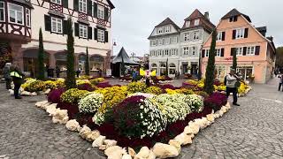 Lahr/Schwarzwald - a colorful day in Lahr