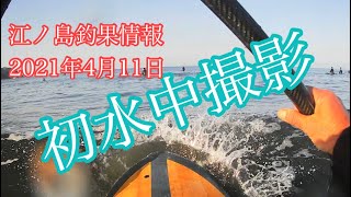 【江ノ島】2021/4/11 初水中撮影・鵠沼