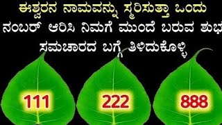 ಇದರಲ್ಲಿ 1 ಎಲೆಯನ್ನು ಆರಿಸಿ ಹಾಗೂ ನಿಮ್ಮ ಇಚ್ಚೆಗಳ ಬಗ್ಗೆ ತಿಳಿದುಕೊಳ್ಳಿ || Leaves game || Divine Kannada