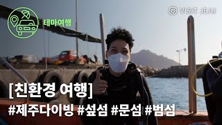 [친환경 여행] 제주 스킨스쿠버 체험