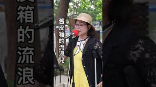 舊皮箱的流浪兒｜街頭藝人 何子欣 #shorts 台中公園