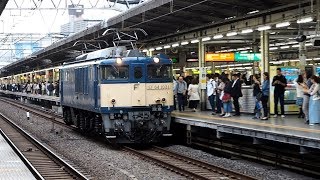 2019/05/20 【単機回送】 EF64-1031 池袋駅 \u0026 田端信号場 | JR East: EF64-1031 at Ikebukuro \u0026 Tabata Signals