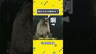 真的细思极恐啊细思极恐啊！！！！#娱乐评论大赏 #万万没想到#娛樂#搞笑#shorts