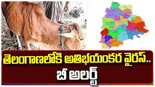 తెలంగాణలోకి ఎంటరైన మరో అతిభయంకర వ్యాధి || Viral News || Ok Telugu