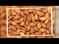 top 5 healthiest nuts in the world healthiest nuts you should eat everyday