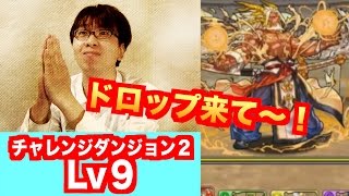 ６色あるぞ！【チャレンジダンジョン２】Lv9　光ラーPT　パズドラ　じゃじゃーん菊池