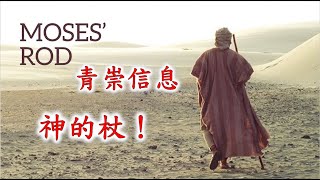 林口靈糧堂 20210417 青崇信息 神的杖！ 馮啟文 主任牧師