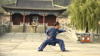 Wu Dang Ba Ji Quan -- Yuan Shen You 武当八极拳