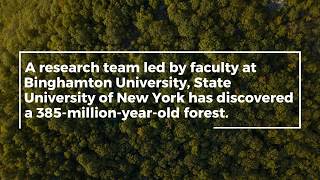 Discovery of 385-million-year-old forest Reveals Modern Trees Emerged Earlier Than Believed