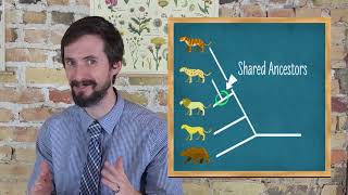 How to Read Phylogenetic Trees/ Cladograms - Very Clear Explanation