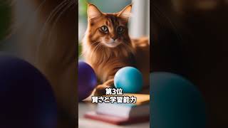 人気の猫 魅力解剖！ソマリを飼うメリットベスト5 #shorts