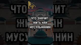 Что значит жить как мусульманин