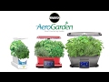 How to Prune Gourmet Herbs Seed Pod Kit