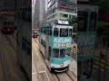 姜濤430 生日全港免費搭電車