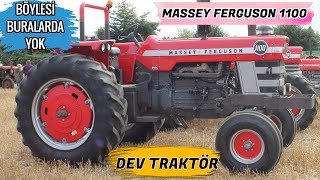 DEV HEYBETLİ TRAKTÖR MASSEY FERGUSON 1100 | HEYBETLİ TRAKTÖR YÜKSEKLİĞİ ŞAŞIRTICI | KEŞKE OLSAYDI