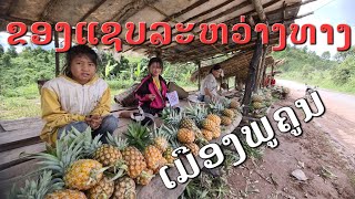 Laos : ເມືອງພູຄູນ ແຂວງຫລວງພຣະບາງ | เมืองพูคูน แขวงหลวงพระบาง