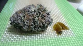 Strain Review - Ggc - Gods Green Crack - MMJ Total Health Care