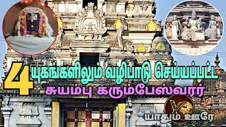 சர்க்கரை நோய் கண்டிப்பாக குணமாகும்! இந்த கோவிலுக்கு ஒரு முறை போய்ட்டு வாங்க | வெண்ணி கரும்பேஸ்வரர்