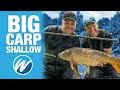 BIG Carp Shallow | 50lbs in 25 Minutes! | Jamie Hughes