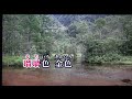 孔雀の純情・川野夏美・♬伊藤きみ江