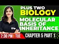 Plus Two Biology |  Molecular Basis of Inheritance | Chapter 5 Part 1 | Exam Winner