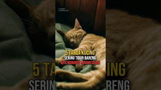 Inilah 5 Tanda Kucing Sering Tidur Bareng Kita Menurut Ajaran Islam #shortvideo #subscribe #shorts