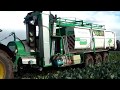 Floretting machine in-field - Cauliflower | Sweere