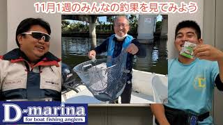 11月1週のみんなの釣果を見てみよう