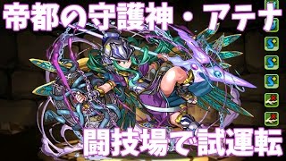 【パズドラ】帝都の守護神・アテナ試運転【闇アテナ・闘技場】