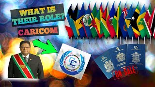 The Role Of CARICOM In The Caribbean