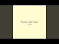 Shadow Fragile Ocean