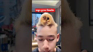 অদ্ভুত চুলের স্টাইল দেখুন আর হাসুন  Weird hairstyles #hairstyles #viralshorts