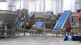 Inside the newly rebuilt Taylor Farms processing plant in Salinas