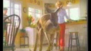 Floormate TV commercial with a kangaroo