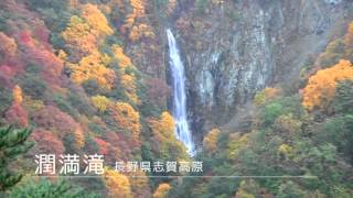 紅葉／国道292号線「志賀草津道路から山ノ内町へ」車窓から・・・潤満滝の紅葉は絶景！