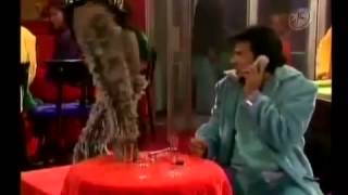 La Familia Peluche Primera Temporada Capitulo 15 Celosa, Patetica Y Desconfiada
